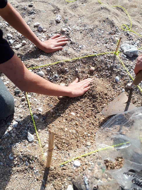 Recollida de mostres